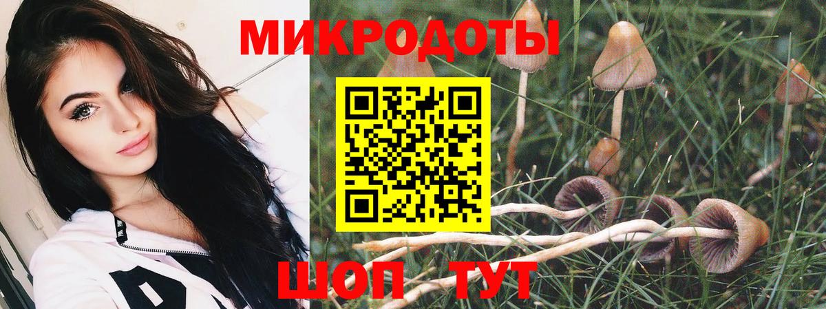Москва  Галлюциногенные грибы мицелий  Вход с VPN 