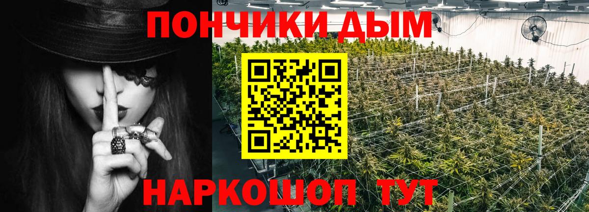 Бошки Шишки SATIVA & INDICA  Канабис индика  Вход с VPN  Москва  Каннабис Ganja 